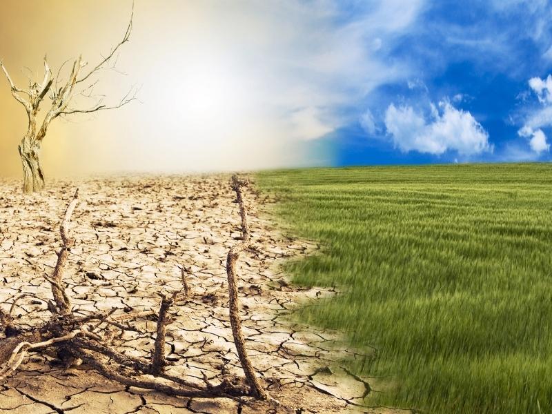 Top 10 Facts About Climate Change