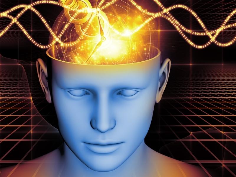 Top 10 Mind-Blowing Facts You Didn’t Know